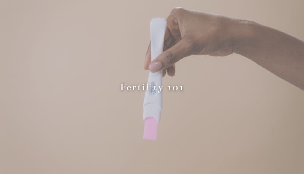 Fertility 101 - Her Serenity Blog2