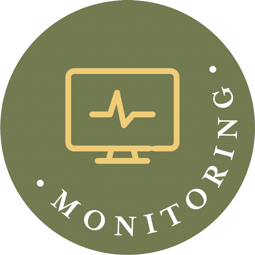Monitoring. Continue your journey with expert support and a set of watchful eyes.